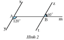 Quan sát Hình 2 Bài 3 trang 87 Toán lớp 7 Tập 1