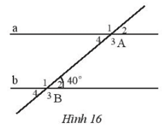 Bài 4 trang 80 Toán 7 Tập 1 Chân trời sáng tạo