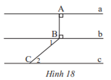 Bài 6 trang 81 Toán 7 Tập 1 Chân trời sáng tạo