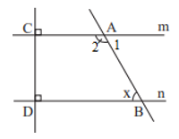 Quan sát Hình 19 Bài 7 trang 81 Toán lớp 7 Tập 1