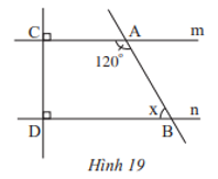 Quan sát Hình 19 Bài 7 trang 81 Toán lớp 7 Tập 1