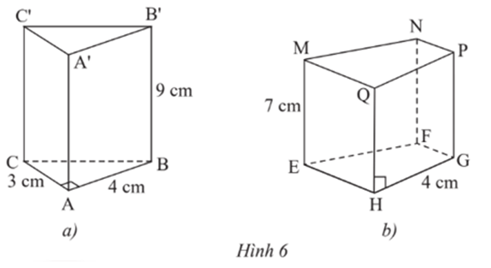Bài 1 trang 57 Toán 7 Tập 1 Tập 1 Chân trời sáng tạo