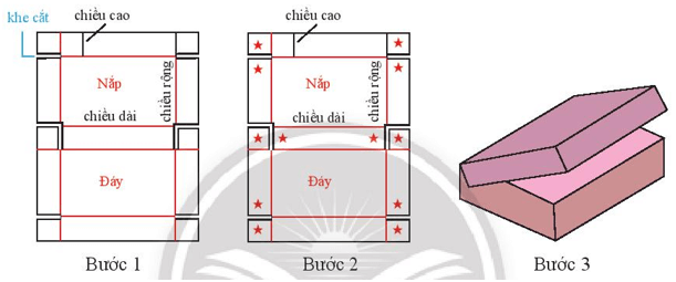 Hoạt động 4 trang 65 Toán 7 Tập 1 Chân trời sáng tạo