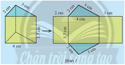 Hãy quan sát lăng trụ đứng tam giác (Hình 1) và thực hiện các yêu cầu sau