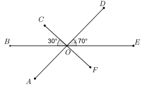 15 Bài tập Các góc ở vị trí đặc biệt (có đáp án) | Chân trời sáng tạo Trắc nghiệm Toán 7