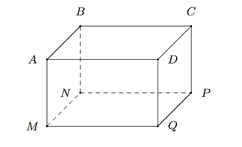 15 Bài tập Hình hộp chữ nhật - Hình lập phương (có đáp án) | Chân trời sáng tạo Trắc nghiệm Toán 7