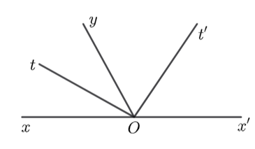 15 Bài tập Tia phân giác (có đáp án) | Chân trời sáng tạo Trắc nghiệm Toán 7