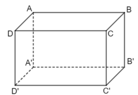 15 Bài tập Hình lăng trụ đứng tam giác. Hình lăng trụ đứng tứ giác (có đáp án) | Chân trời sáng tạo Trắc nghiệm Toán 7