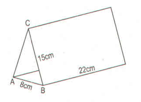 15 Bài tập Diện tích xung quanh và thể tích hình lăng trụ đứng tam giác, hình lăng trụ đứng tứ giác (có đáp án) | Chân trời sáng tạo Trắc nghiệm Toán 7