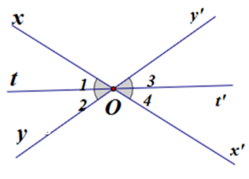15 Bài tập Định lí và chứng minh một định lí (có đáp án) | Chân trời sáng tạo Trắc nghiệm Toán 7