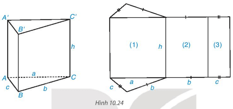 HĐ3 trang 96 Toán 7 Tập 2 | Kết nối tri thức Giải Toán lớp 7