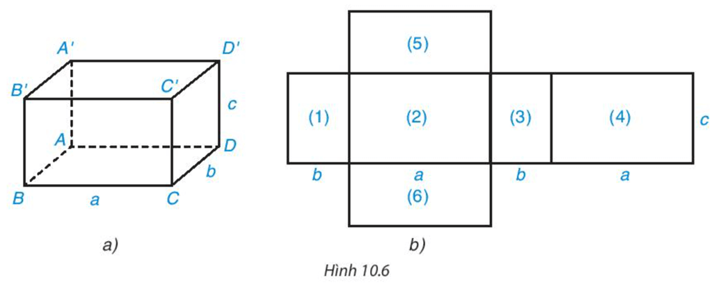 HĐ4 trang 87 Toán 7 Tập 2 | Kết nối tri thức Giải Toán lớp 7