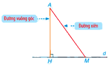 Quan hệ giữa đường vuông góc và đường xiên (Lý thuyết Toán lớp 7) | Kết nối tri thức (ảnh 1)