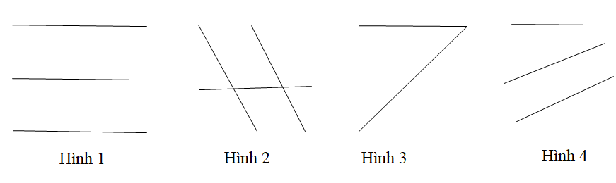 15 Bài tập Định lí và chứng minh định lí (có đáp án) - Kết nối tri thức Trắc nghiệm Toán 7