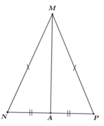 15 Bài tập Hai tam giác bằng nhau. Trường hợp bằng nhau thứ nhất của tam giác (có đáp án) | Kết nối tri thức Trắc nghiệm Toán 7