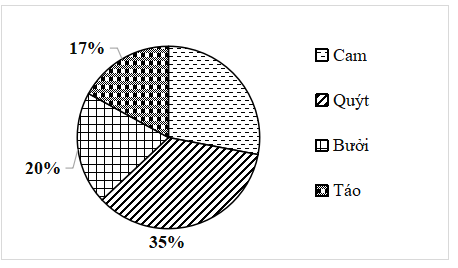 15 Bài tập Biểu đồ hình quạt tròn (có đáp án) | Kết nối tri thức Trắc nghiệm Toán 7