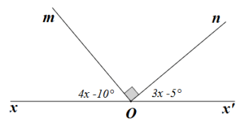 15 Bài tập Góc ở vị trí đặc biệt. Tia phân giác của một góc (có đáp án) | Kết nối tri thức Trắc nghiệm Toán 7