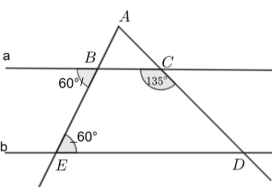 30 Bài tập tổng hợp Toán 7 Chương 3 Kết nối tri thức có lời giải