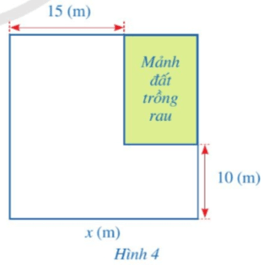 Bài 7 trang 17 Toán 8 Tập 1 Cánh diều | Giải Toán 8