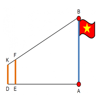 Hoạt động 2 trang 100 Toán 8 Tập 2 Cánh diều | Giải Toán 8