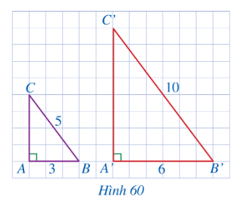 Hoạt động 2 trang 76 Toán 8 Tập Cánh diều | Giải Toán 8