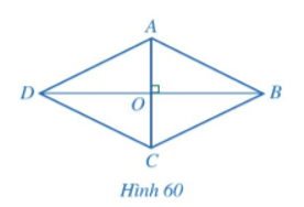 Hoạt động 3 trang 114 Toán 8 Tập 1 Cánh diều | Giải Toán 8