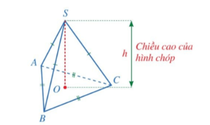 Hình chóp tam giác đều (Lý thuyết Toán lớp 8) | Cánh diều