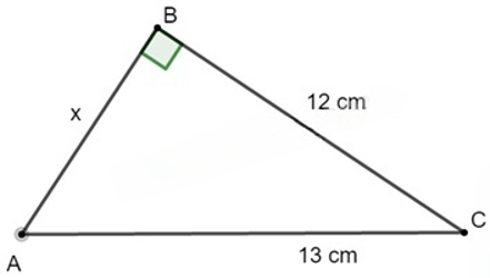 13 Bài tập Định lí Pythagore (có đáp án) | Cánh diều Trắc nghiệm Toán 8 (ảnh 1)