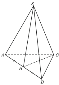 13 Bài tập Hình chóp tam giác đều (có đáp án) | Cánh diều Trắc nghiệm Toán 8 (ảnh 2)