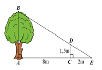 13 Bài tập Ứng dụng của định lí Thalès trong tam giác (có đáp án) | Cánh diều Trắc nghiệm Toán 8 (ảnh 2)