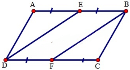13 Bài tập Hình bình hành (có đáp án) | Cánh diều Trắc nghiệm Toán 8 (ảnh 5)