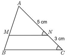 13 Bài tập Tam giác đồng dạng (có đáp án) | Cánh diều Trắc nghiệm Toán 8
