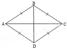 13 Bài tập Hình thoi (có đáp án) | Cánh diều Trắc nghiệm Toán 8 (ảnh 2)