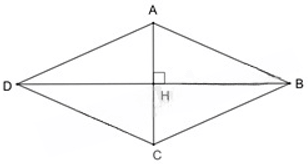 13 Bài tập Hình thoi (có đáp án) | Cánh diều Trắc nghiệm Toán 8 (ảnh 5)