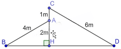 13 Bài tập Trường hợp đồng dạng thứ nhất của tam giác (có đáp án) | Cánh diều Trắc nghiệm Toán 8 (ảnh 5)