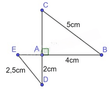 13 Bài tập Trường hợp đồng dạng thứ nhất của tam giác (có đáp án) | Cánh diều Trắc nghiệm Toán 8 (ảnh 7)