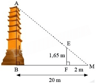 13 Bài tập Trường hợp đồng dạng thứ ba của tam giác (có đáp án) | Cánh diều Trắc nghiệm Toán 8 (ảnh 20)
