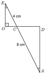 13 Bài tập Trường hợp đồng dạng thứ ba của tam giác (có đáp án) | Cánh diều Trắc nghiệm Toán 8 (ảnh 3)