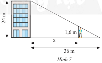 Bài 11 trang 59 Toán 8 Tập 2 Chân trời sáng tạo | Giải Toán 8