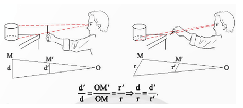 Toán 8 Chân trời sáng tạo Hoạt động 6: Ứng dụng định lí Thalès để ước lượng tỉ lệ giữa chiều ngang và chiều dọc của một vật | Giải Toán 8