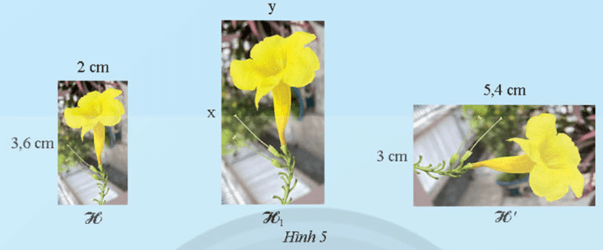 Khám phá 3 trang 79 Toán 8 Tập 2 Chân trời sáng tạo | Giải Toán 8