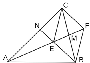 13 Bài tập Định lí Thalès trong tam giác (có đáp án) | Chân trời sáng tạo Trắc nghiệm Toán 8 (ảnh 3)