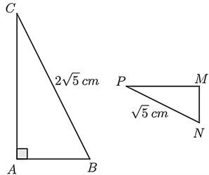13 Bài tập Hai tam giác đồng dạng (có đáp án) | Chân trời sáng tạo Trắc nghiệm Toán 8 (ảnh 1)