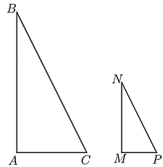 13 Bài tập Các trường hợp đồng dạng của hai tam giác vuông (có đáp án) | Chân trời sáng tạo Trắc nghiệm Toán 8 (ảnh 3)