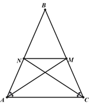 13 Bài tập Tính chất đường phân giác của tam giác (có đáp án) | Chân trời sáng tạo Trắc nghiệm Toán 8 (ảnh 1)
