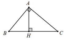 13 Bài tập trắc nghiệm Toán 8 Chân trời sáng tạo Chương 8 (có đáp án) (ảnh 5)