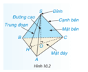 Câu hỏi trang 113 Toán 8 Tập 2 | Kết nối tri thức Giải Toán