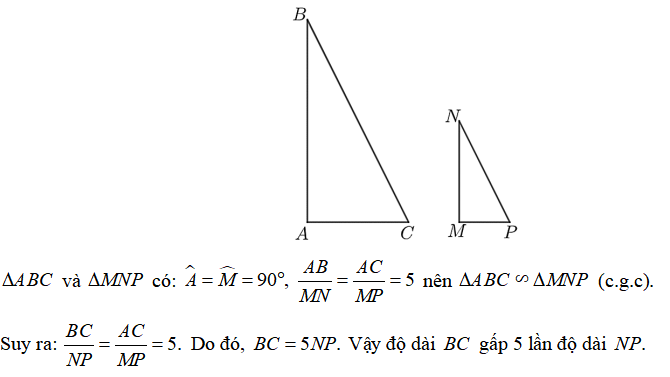 13 Bài tập Các trường hợp đồng dạng của hai tam giác vuông (có đáp án) | Kết nối tri thức Trắc nghiệm Toán 8