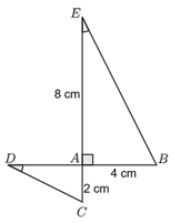 13 Bài tập Các trường hợp đồng dạng của hai tam giác vuông (có đáp án) | Kết nối tri thức Trắc nghiệm Toán 8