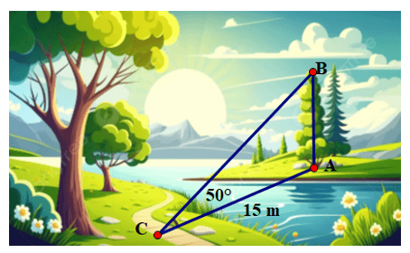 Đề kiểm tra Toán 9 Chân trời sáng tạo Chương 4 (có lời giải)